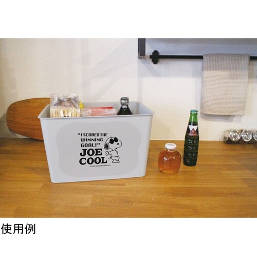 �X�k�[�s�[�R���N�g�{�b�N�X