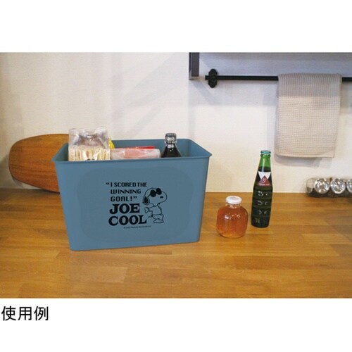 �X�k�[�s�[�R���N�g�{�b�N�X