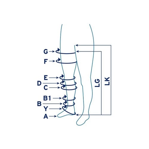 �x���o�Q�@�`�f�|�s�g