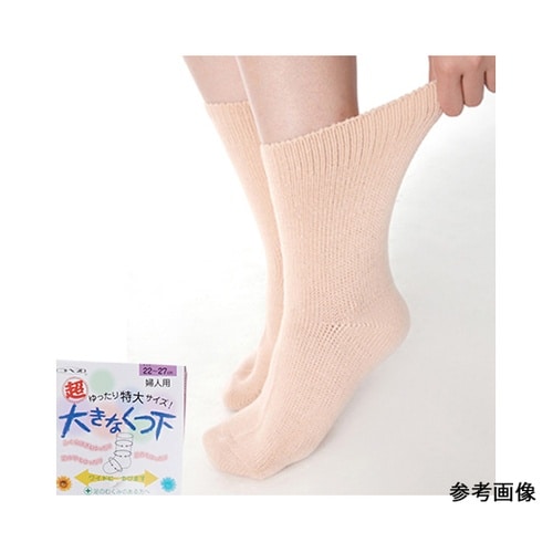 �傫�ȌC���@�H�~�p