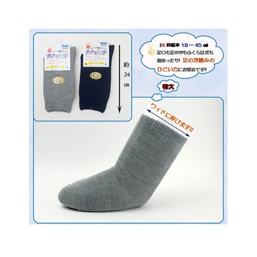 �傫�ȌC���@�H�~�p