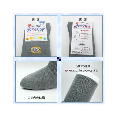 �傫�ȌC���@�H�~�p