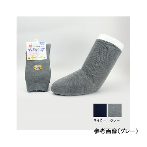 �傫�ȌC���@�H�~�p