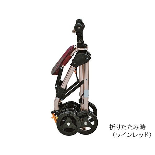 �e�C�R�u�i�m���c�w