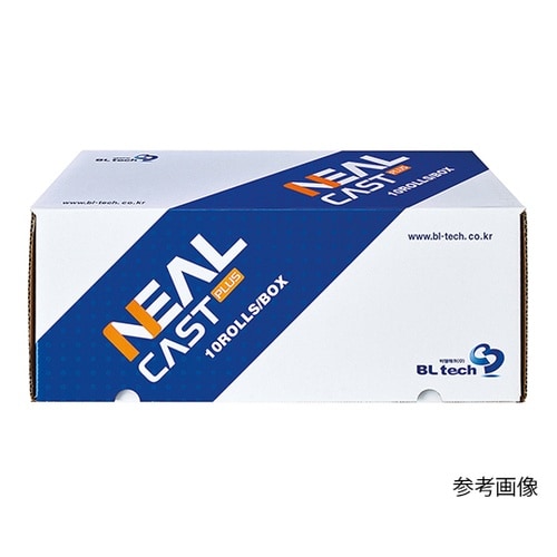 �j�[���L���X�g�e