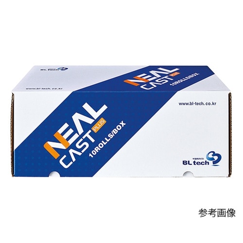 �j�[���L���X�g�o