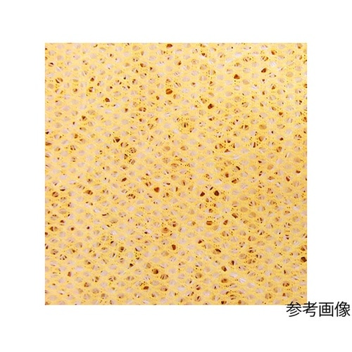 �n�b�s�[���悩��