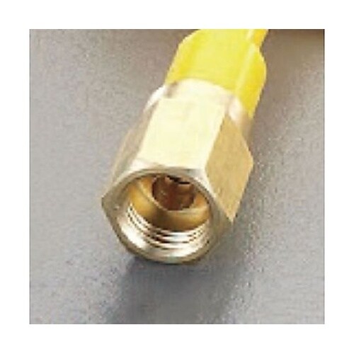 �E���^���z�[�X�i�˂��t�j