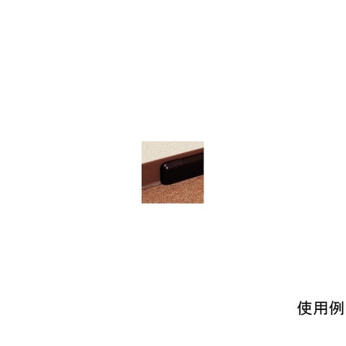 �Ǎۃ��[���p