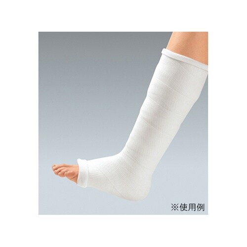 �L���X�g���C�g�w