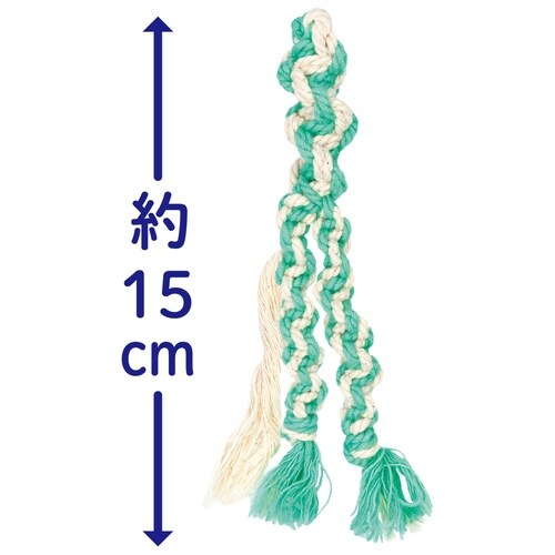 ���݂��ݎ��s�J�R�b�g�����[�v