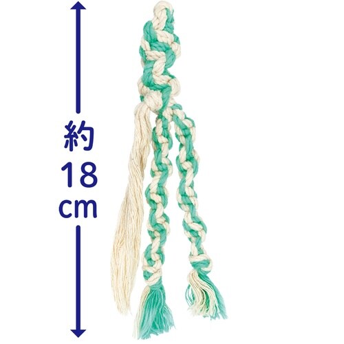 ���݂��ݎ��s�J�R�b�g�����[�v