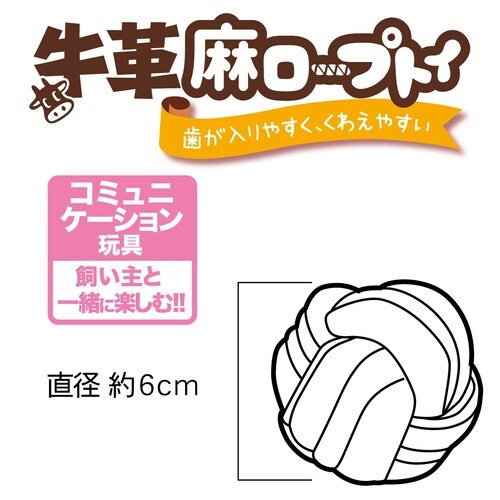 ���v�����[�v�g�C�{�[��