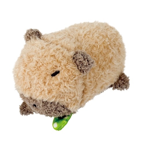 �����n�O�X�t��