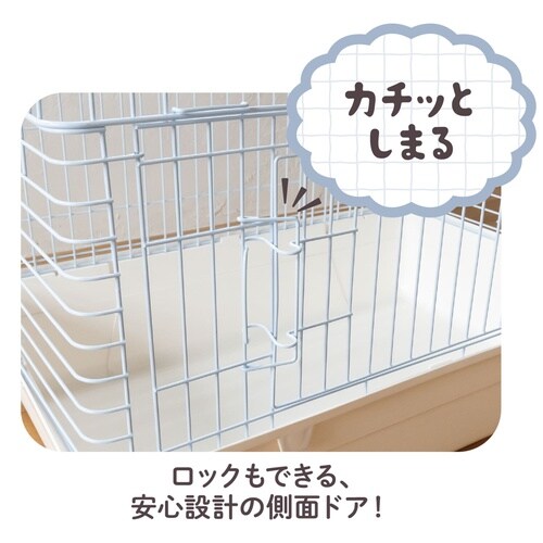 ���r�b�g���났���[��