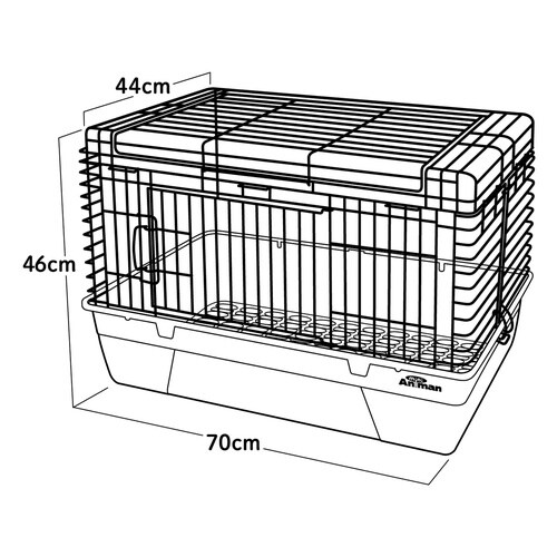 ���r�b�g���났���[��