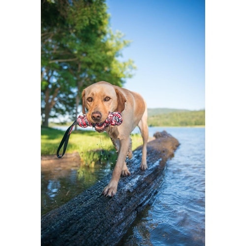 �d�y�r�[�o�[�e�C��