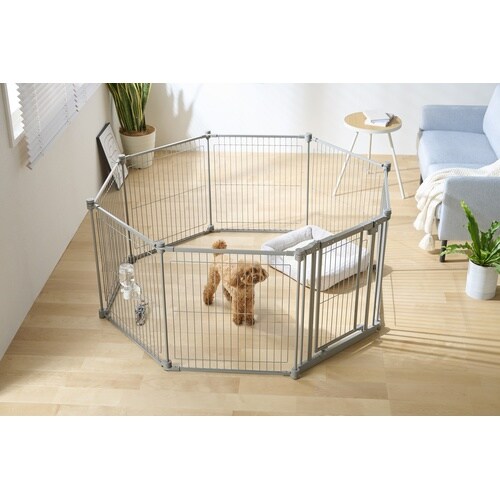 �X�`�[���T�[�N��