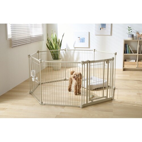 �X�`�[���T�[�N��