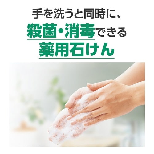 �V���{�l�b�g�@�o�|�T