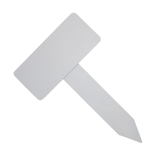 �s�^�t�����[���x��