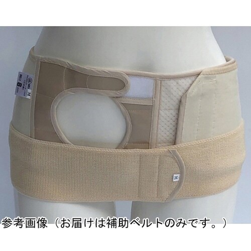 �w���j�A�⏕�x���g