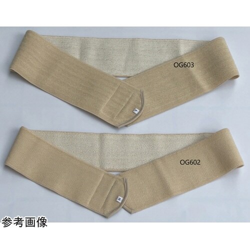 �w���j�A�⏕�x���g