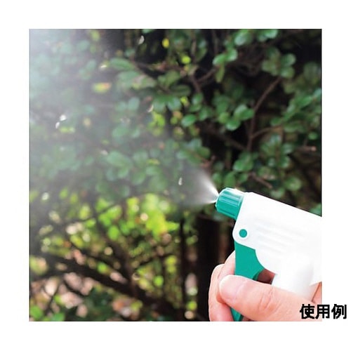 �X�v���[�{�g���i�o�d�j