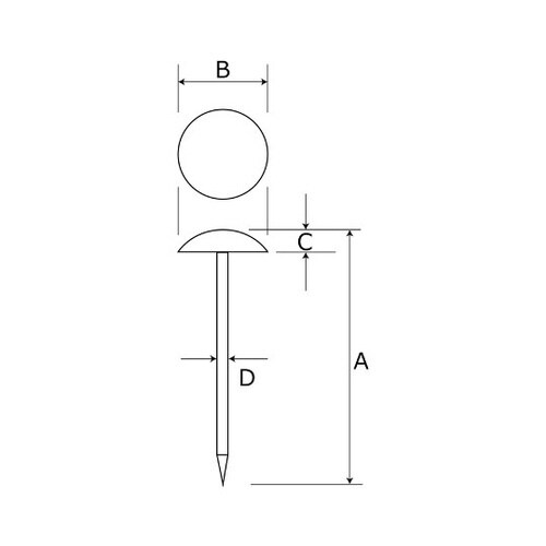 �J���[��~�e