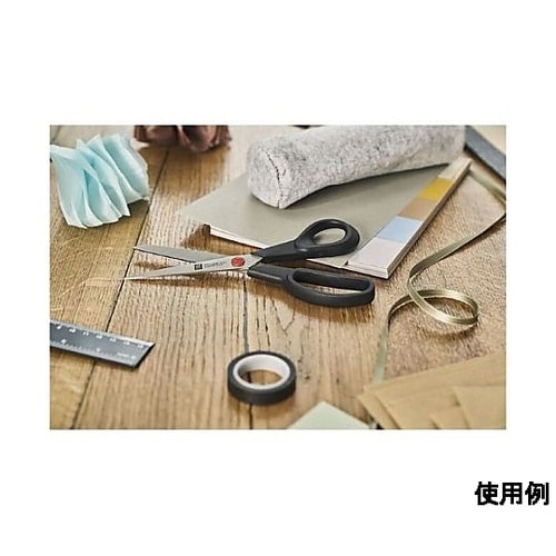 �ق��΂��݁i�X�e�����X���j