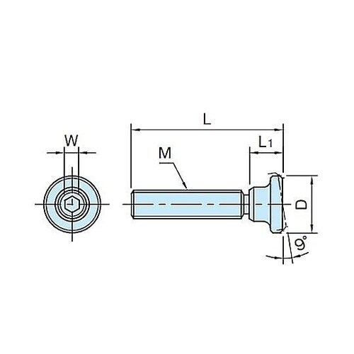 �m�ē��n�p�b�h�t�X���X�g�{���g