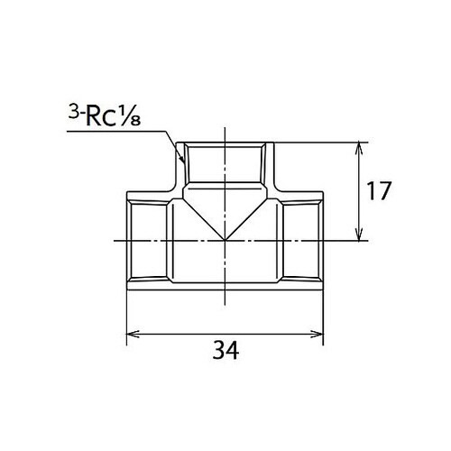 �`�[�Y�i�X�e�����X���j