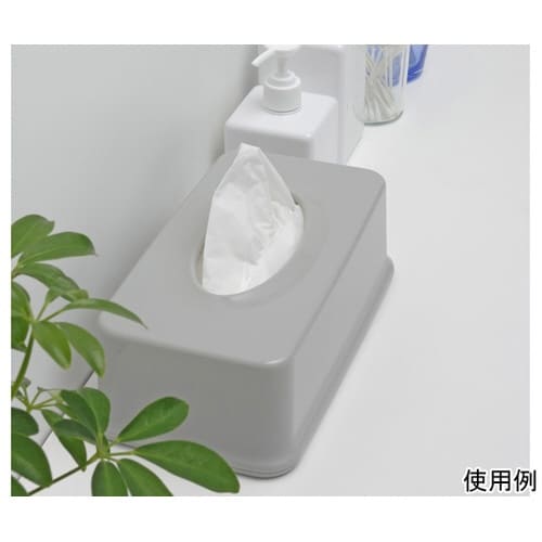 �ܓ���e�B�b�V���p�P�[�X