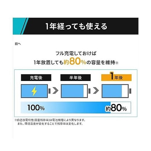 �j�b�P�����f�d�r�i�[�d���j