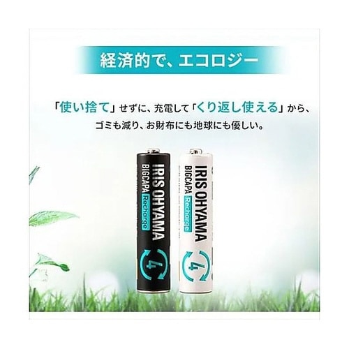 �j�b�P�����f�d�r�i�[�d���j