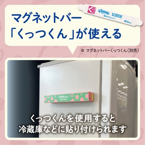 �X�R�b�e�B�t�@�C���@�N�b�L���O�V�[�g