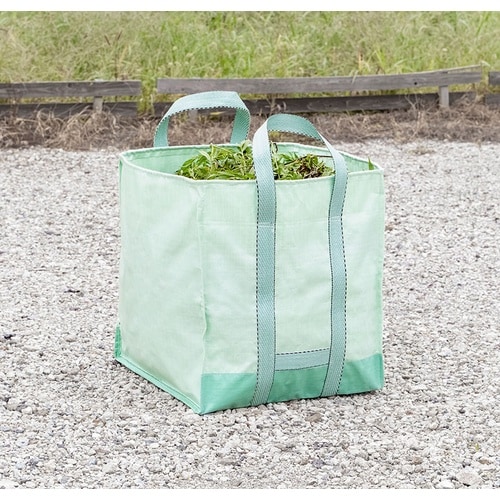 �o�o�t�S��