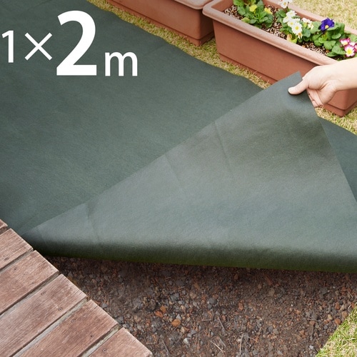 ���|�p�h���V�[�g