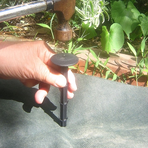 ���|�p�h���V�[�g�p�������s��