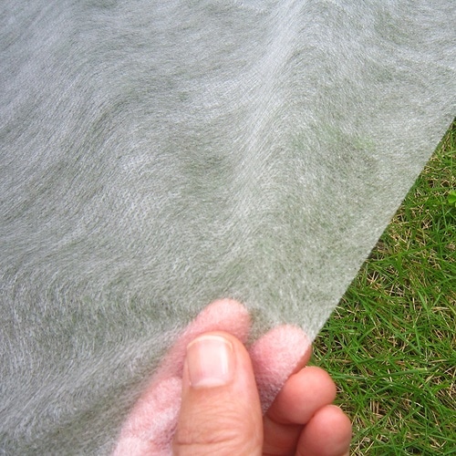 �s�D�z�V�[�g