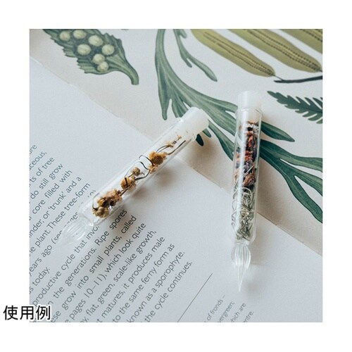 �����ǂ̃K���X�y��