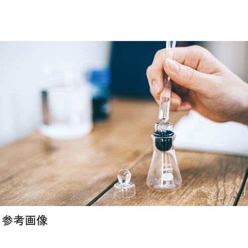 �����g�������K���X�y��