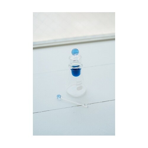 �C���N�|�b�g�@�a�n�t�p�t�d�s�@�C���N�X�e�b�L�t��