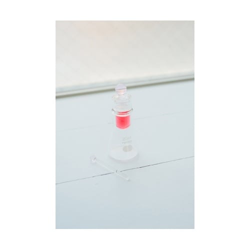 �C���N�|�b�g�@�a�n�t�p�t�d�s�@�C���N�X�e�b�L�t��