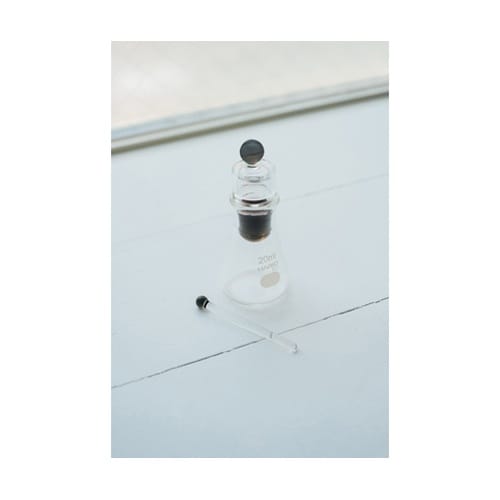 �C���N�|�b�g�@�a�n�t�p�t�d�s�@�C���N�X�e�b�L�t��