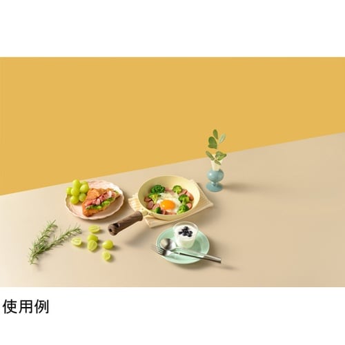 �w�b�^�t���C�p��