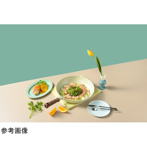 �w�b�^�t���C�p��