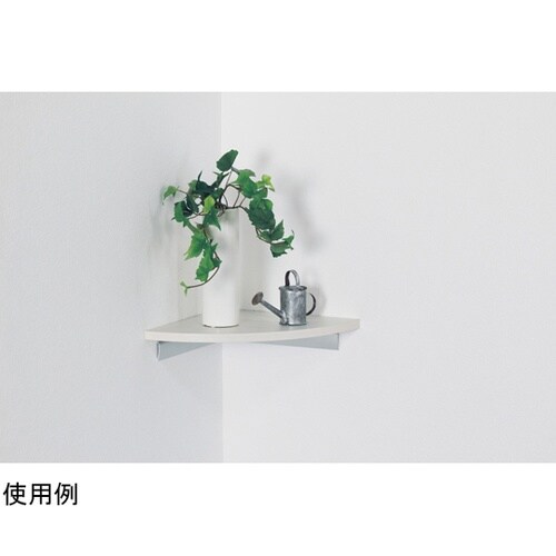 �R�[�i�[�V�F���t