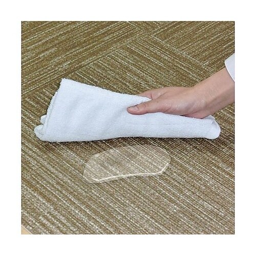 ��������t���A�p�l��