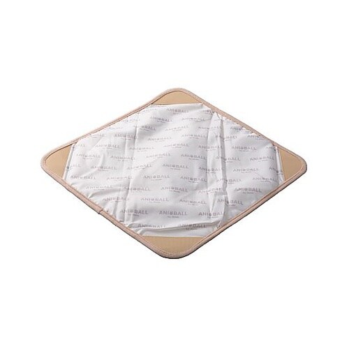 �����`�N���X�@�A�j�{�[���@�����`���b�p�[�@�Ђ���